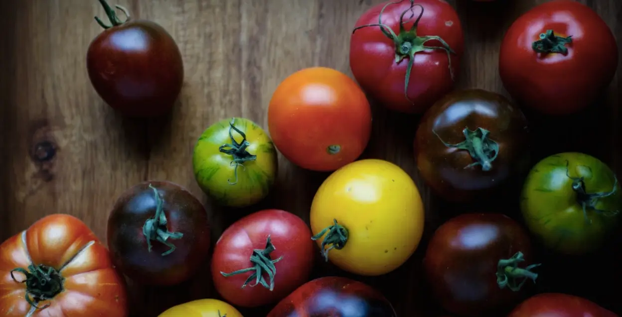 Un scientifique est en train de développer LA tomate qui a du goût