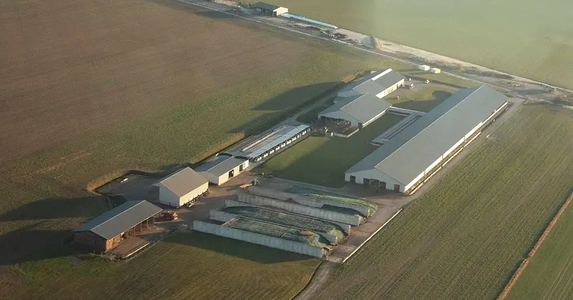 La ferme industrielle des “1 000 vaches” autorisée à s’agrandir davantage