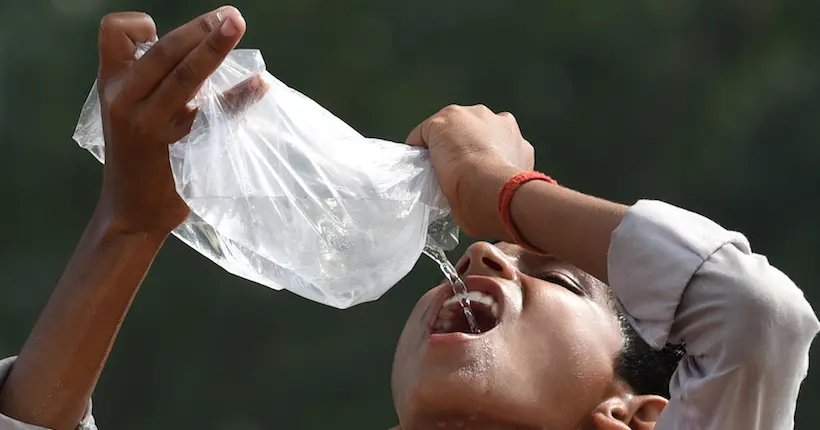 “Mourir de chaud” pourrait devenir une réalité pour 30 % de la population mondiale