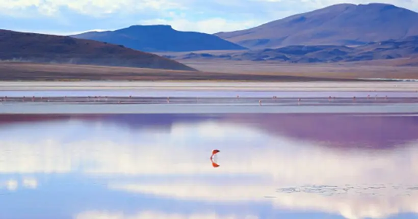 20 000 lieux sur la Terre : le miroir naturel du Salar d’Uyuni