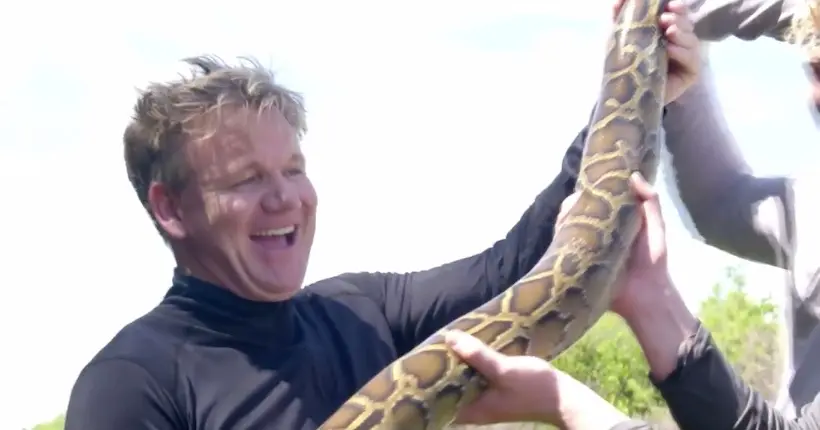Gordon Ramsay tue un python et le transforme en wrap