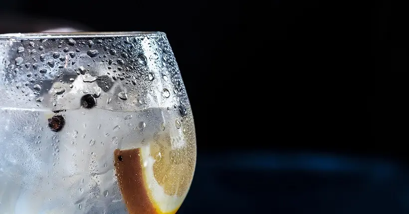 À seulement onze euros, le gin Aldi est l’un des meilleurs du monde