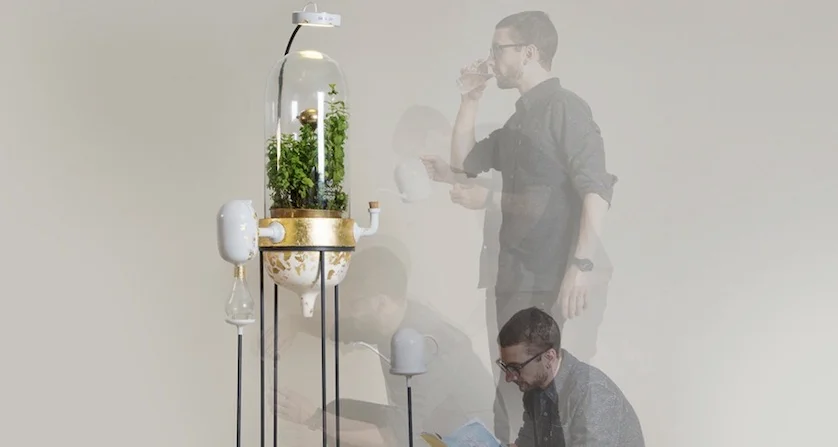 Ce système de filtre futuriste utilise les plantes pour purifier l’eau