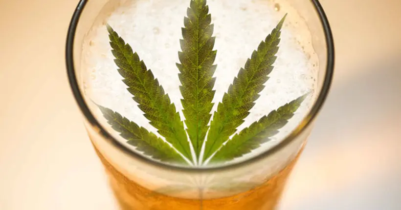 Lagunitas infuse sa nouvelle IPA aux essences de cannabis