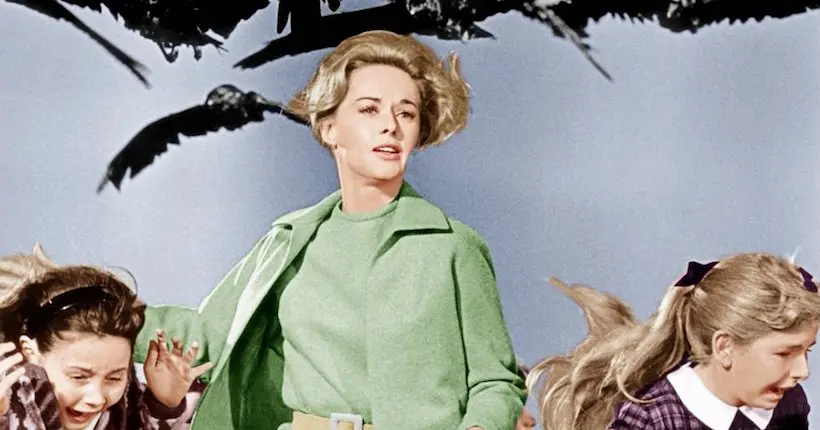 Une série adaptée des Oiseaux d’Alfred Hitchcock est en chantier chez la BBC