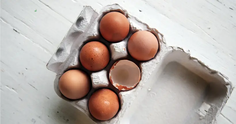 Tout comprendre du scandale sanitaire des œufs contaminés