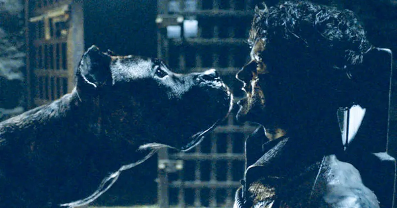 Chienne de vie : Iwan Rheon revient sur la mort de Ramsay Bolton dans Game of Thrones