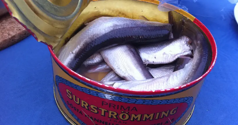 Le surströmming, ce hareng fermenté suédois qui réveille les morts