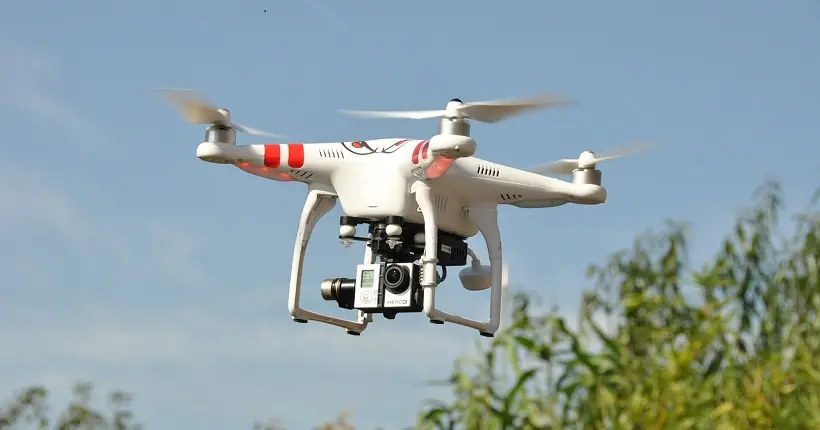 À Chypre, un drone traque les braconniers qui massacrent les oiseaux migrateurs