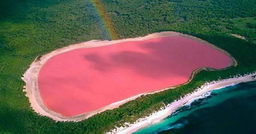 20 000 lieux sur la Terre : la mystérieuse couleur du lac Hillier en Australie