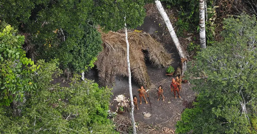 Des anthropologues alertent sur un probable génocide indigène en Amazonie