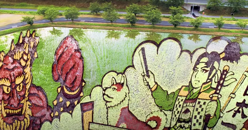 Vidéo : quand les rizières se transforment en œuvres d’art au Japon