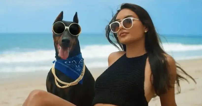 Snoop Dogg fait un retour aux sources avec le clip 100 % canin de “Toss It”