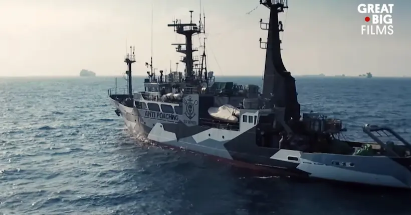 Vidéo : le quotidien des militants écologistes à bord d’un navire de Sea Shepherd