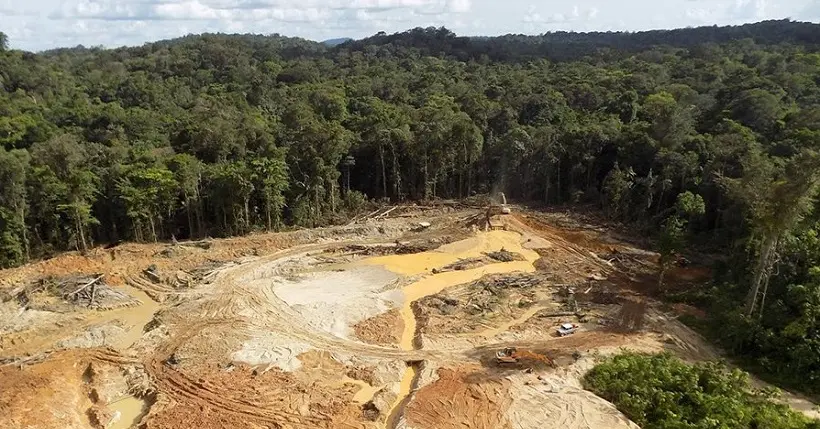 “Montagne d’or” : le projet de mine en Guyane française qui fait couler beaucoup d’encre