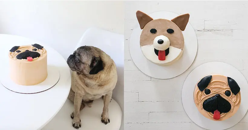Est-ce qu’on peut parler de ces merveilleux gâteaux chiens ?