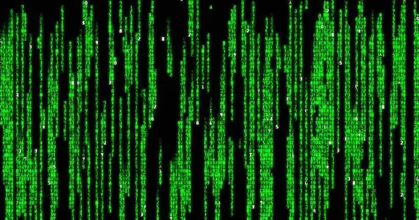 Un mythe s’effondre : le code vert de Matrix est tiré… d’un livre de cuisine japonais