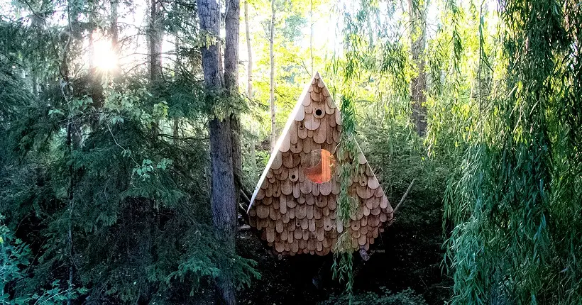Au Canada, cette cabane dans les arbres accueille humains et oiseaux sous le même toit