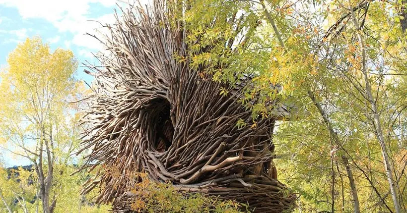 En Californie, cet artiste construit des nids d’oiseaux géants destinés aux humains
