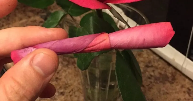En images : quand les gens roulent des joints avec des pétales de rose, ça donne ça