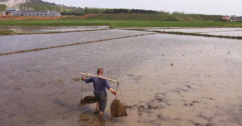 Un paysan chinois se forme seul au droit et attaque le plus grand groupe chimique du pays