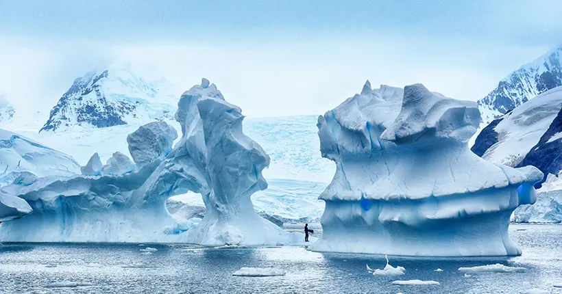 Une forêt fossilisée vieille de 280 millions d’années vient d’être découverte en Antarctique