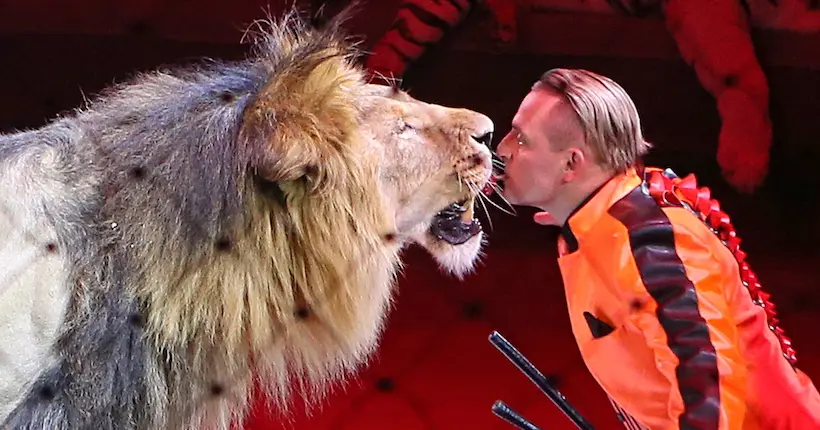 L’Italie vient de voter l’interdiction des spectacles de cirque avec des animaux