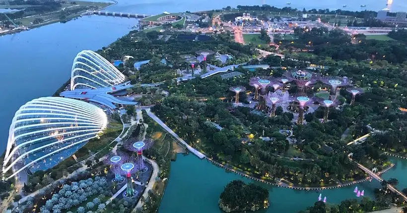 Entre nature et futurisme, 5 lieux incontournables à Singapour