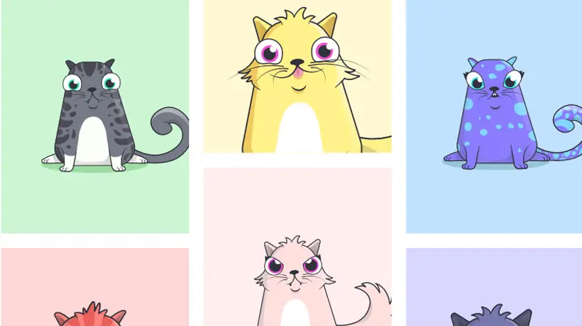 Ces chatons trop mignons sont-ils les bitcoins du futur ?