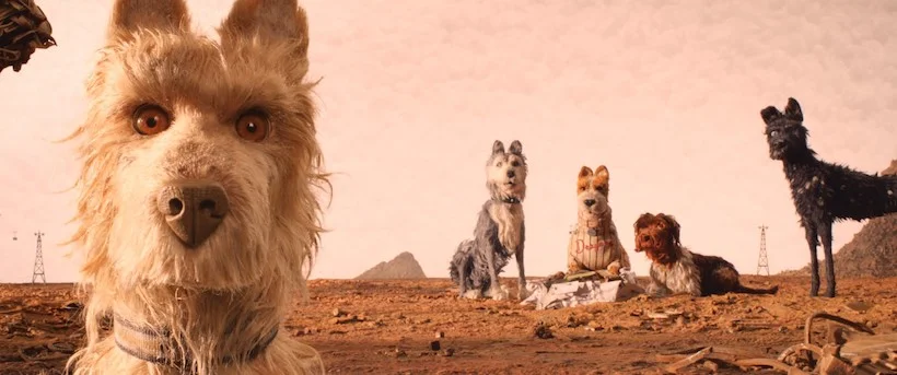 4 choses à savoir sur L’Île aux chiens, le nouveau film génial de Wes Anderson