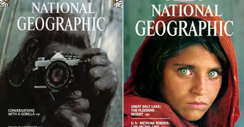 Vidéo : découvrez 130 ans de couvertures National Geographic en 2 minutes