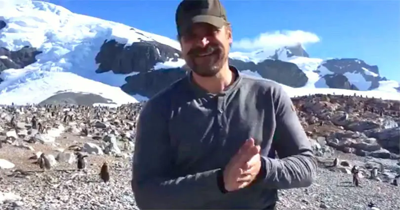 Vidéo : comme promis, David Harbour est allé danser avec des manchots en Antarctique