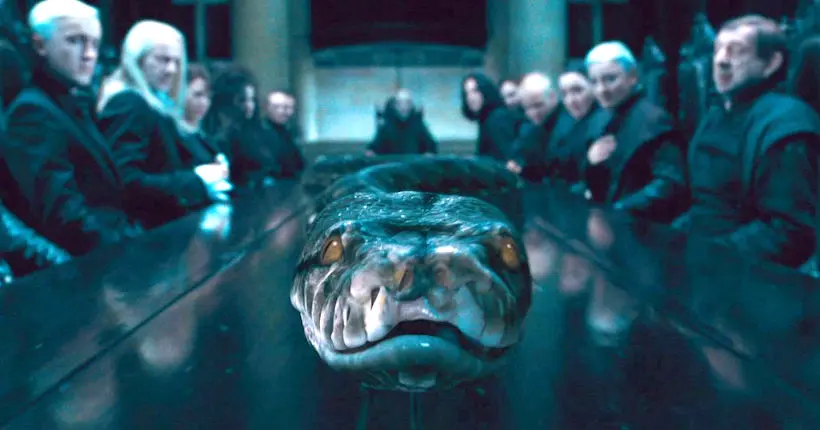 La suite des Animaux fantastiques confirmerait une théorie sur le serpent de Voldemort