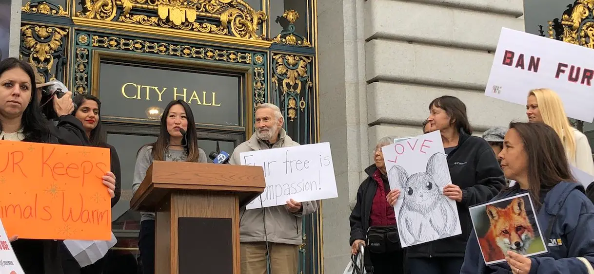 San Francisco interdit la fourrure pour envoyer un “message fort au reste du monde”