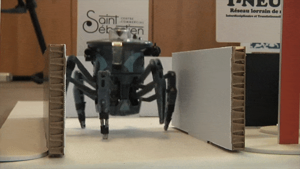 Vidéo : ce robot est guidé par le cerveau