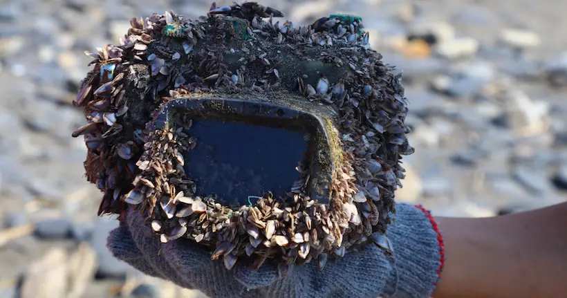 Perdu en mer au Japon depuis des années, un appareil photo vient d’être retrouvé à Taïwan