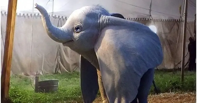 Accrochez bien vos cœurs : voici à quoi ressemble le Dumbo de Tim Burton