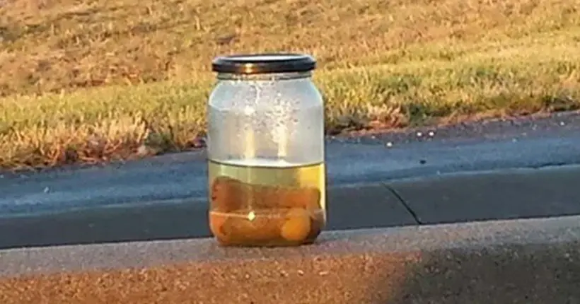 L’histoire du bocal de cornichons posé au bord d’une autoroute du Missouri