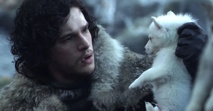 Un fidèle compagnon de Jon Snow a été injustement coupé de la saison 7 de Game of Thrones