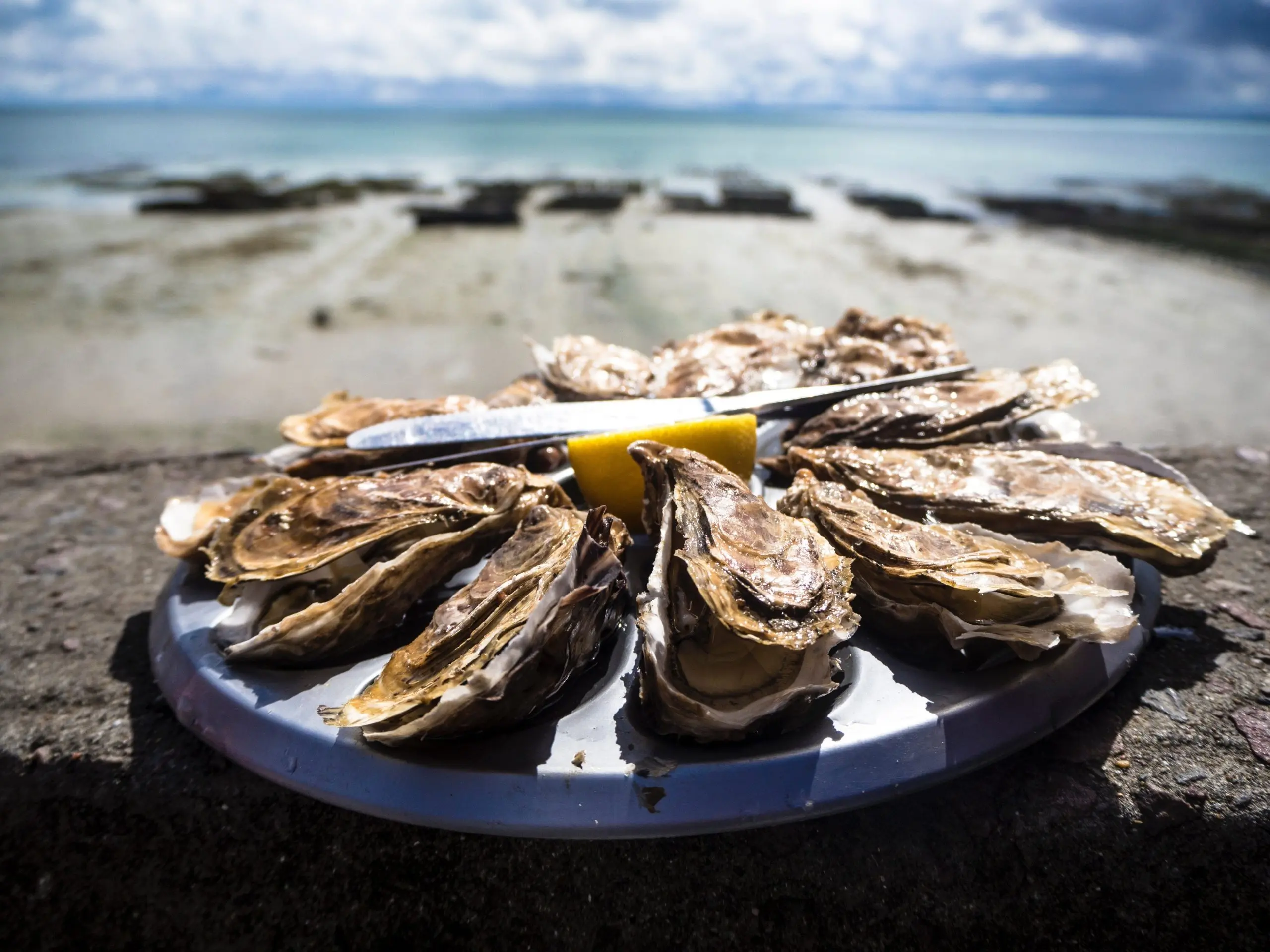 Pourquoi ne mélange-t-on pas le fromage et les fruits de mer ?