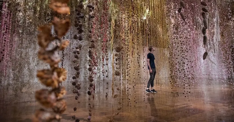 Quand un demi-million de fleurs se transforme en une œuvre d’art