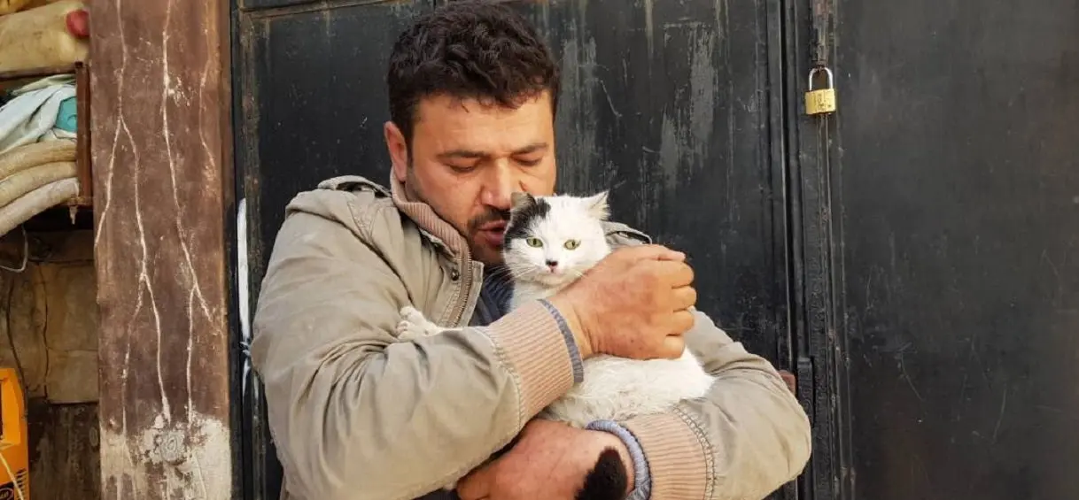 Syrie : en pleine zone de guerre, il crée un refuge pour sauver des chats