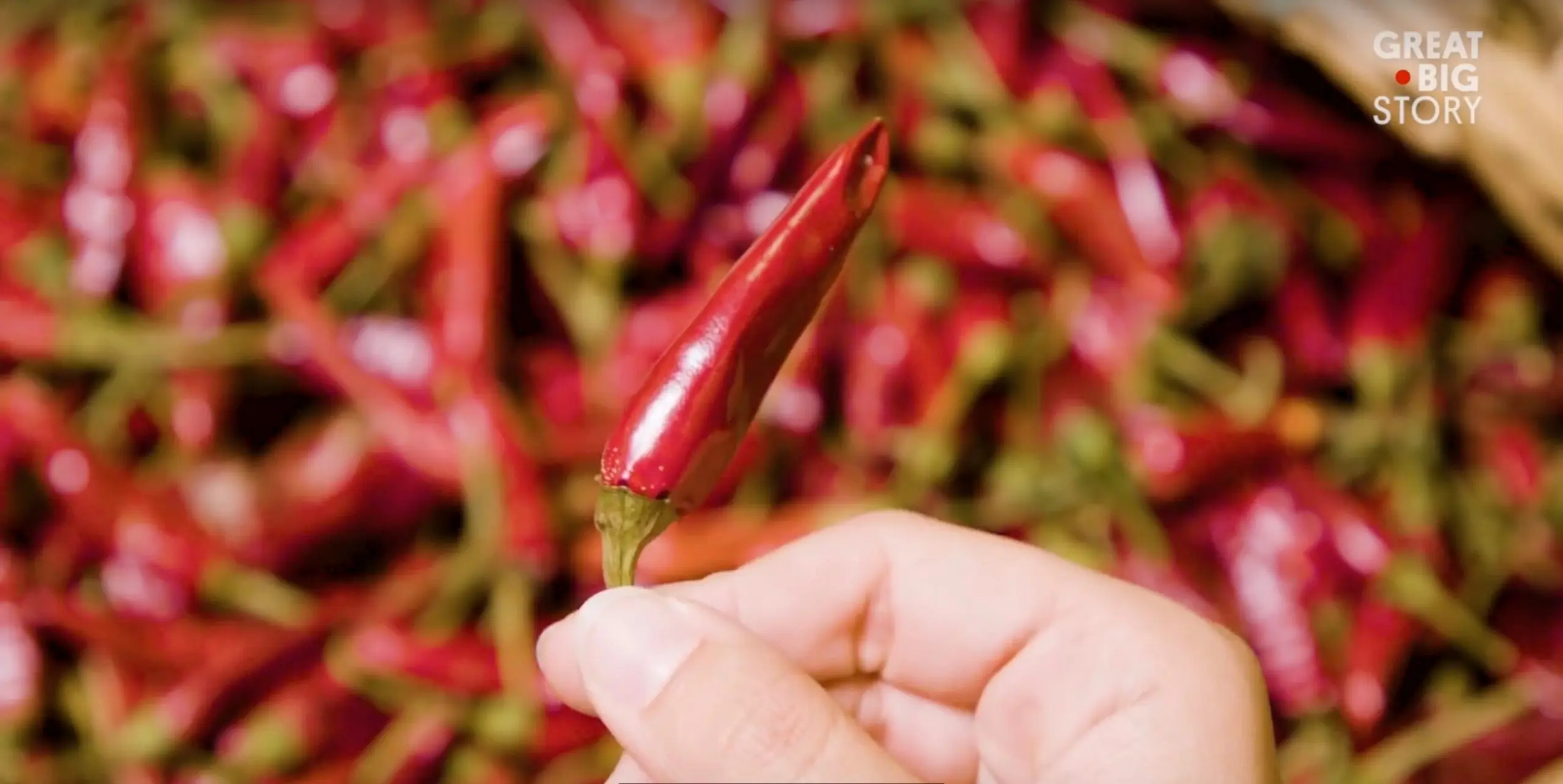 Vidéo : le paprika, l’épice qui a conquis Budapest