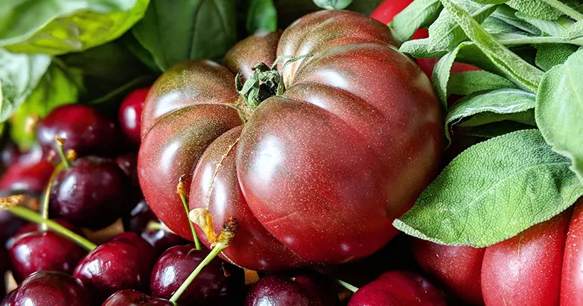 Notre panier de saison pour 20 balles au marché, semaine 12