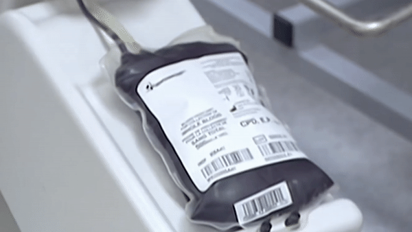 Vidéo : pensez-vous tout savoir sur le don du sang ?