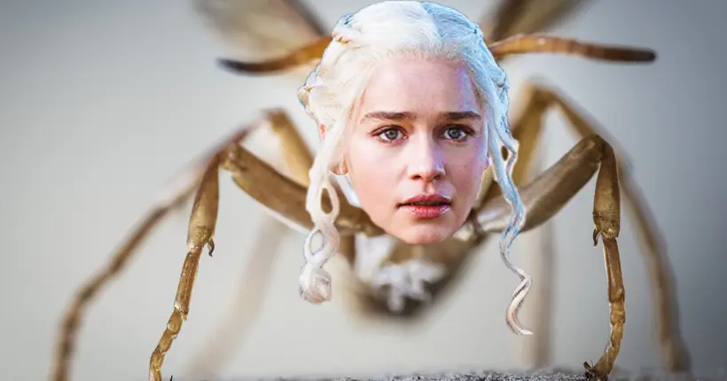On en est là : une espèce de guêpe porte désormais le nom de Daenerys Targaryen