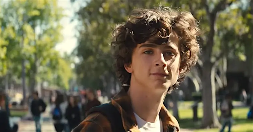 Timothée Chalamet, stone et déchirant dans le trailer de Beautiful Boy