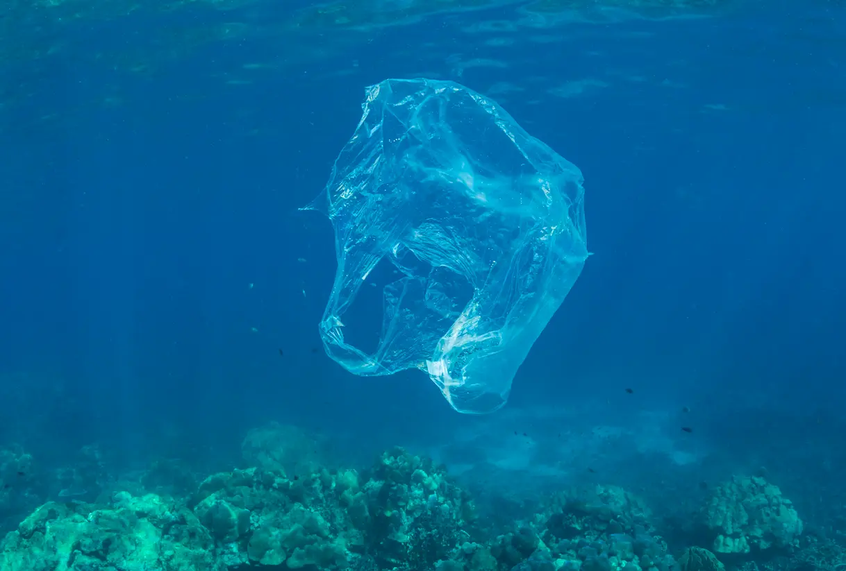 Révolution verte : des sacs plastiques solubles dans l’eau et non-polluants