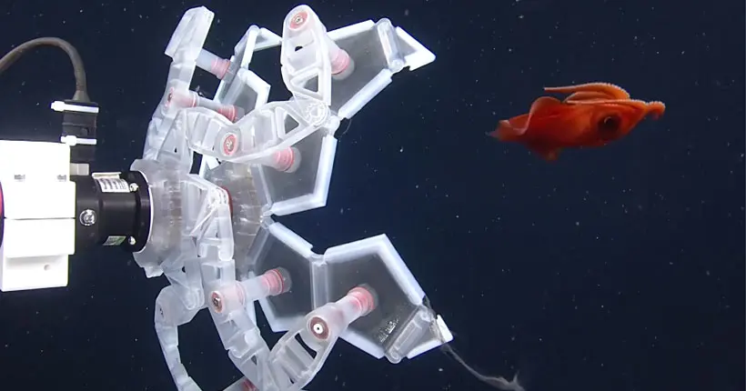 Ce grapin inspiré des origamis capture en douceur la faune marine fragile