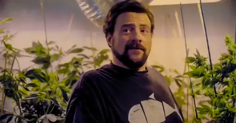 Trailer : Hollyweed, la série barrée de Kevin Smith qui sent bon la marijuana